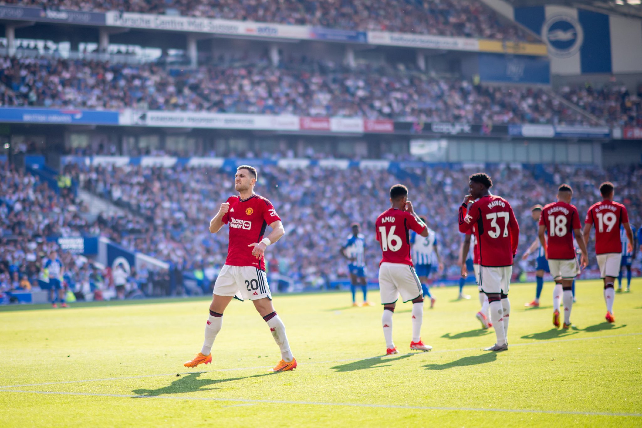 所表现出的 所表现出的